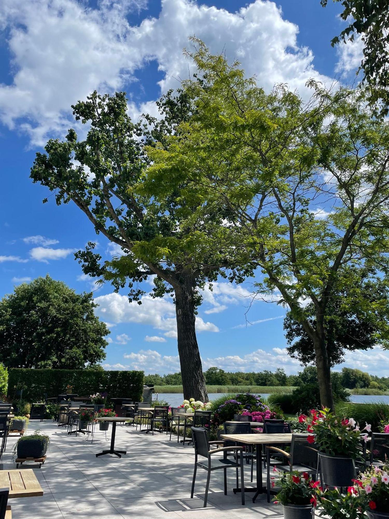 Restaurant-Hotel De Watergeus Noorden Eksteriør bilde